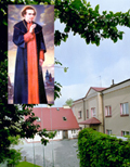 zakon